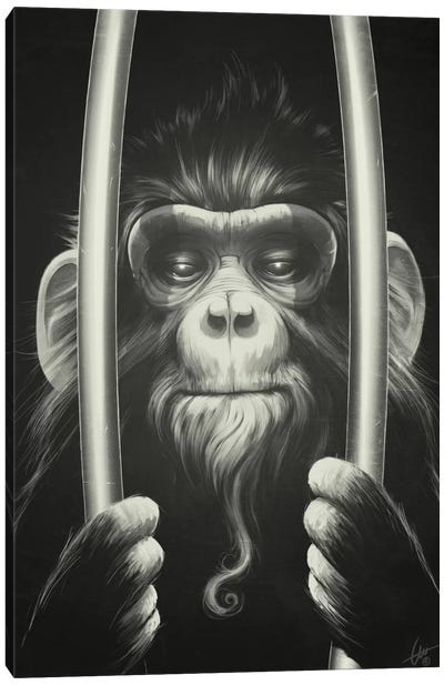 Prisoner II Canvas Art Print - Dr. Lukas Brezak