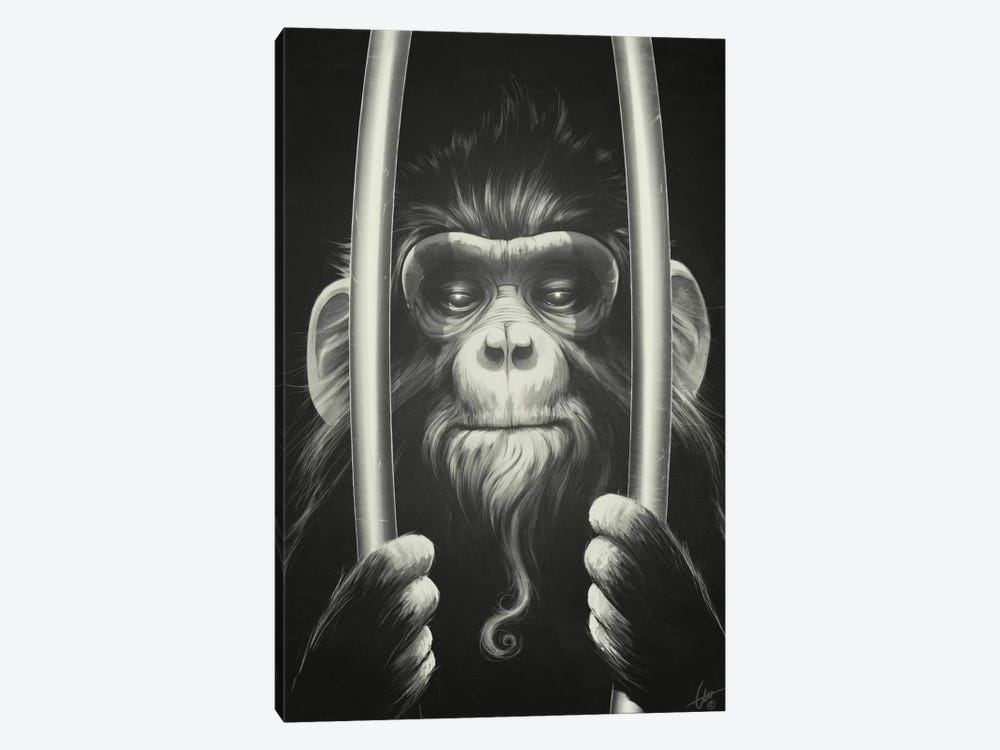 Prisoner II by Dr. Lukas Brezak 1-piece Canvas Art Print