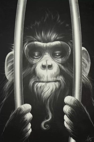 Primates: Prisoner II by Dr. Lukas Brezak