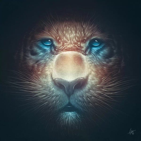 Dr. Lukas Brezak: Red Tiger by Dr. Lukas Brezak