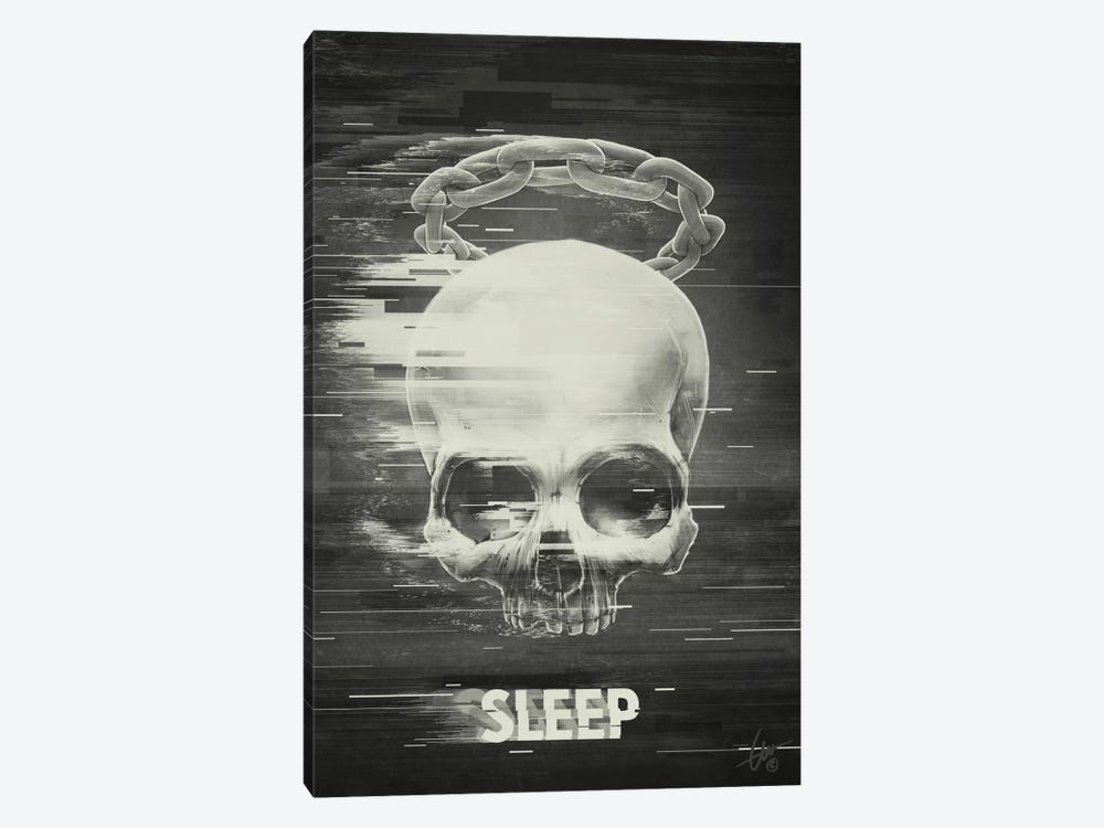 Sleep by Dr. Lukas Brezak 1-piece Canvas Art Print