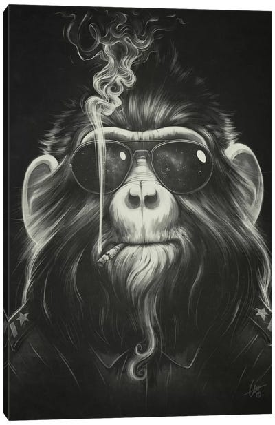 Smoke 'Em Canvas Art Print - Primate Art