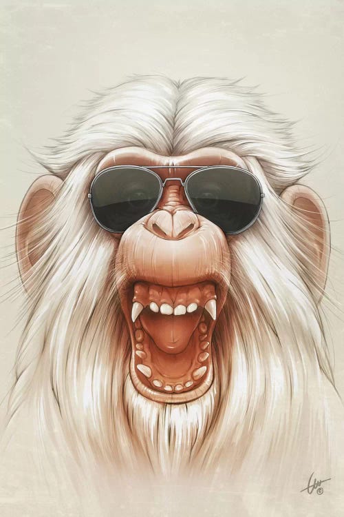 The Great White Angry Monkey