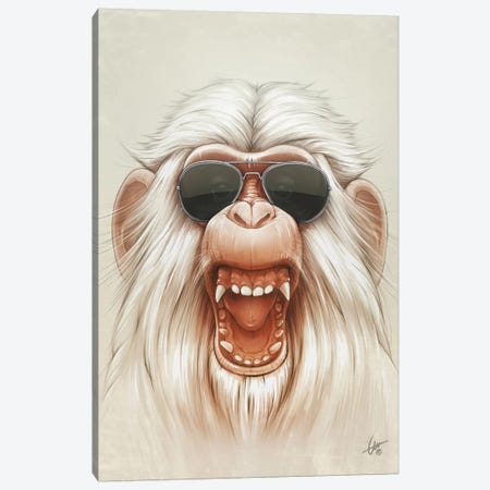 The Great White Angry Monkey Canvas Print #DOC24} by Dr. Lukas Brezak Canvas Print