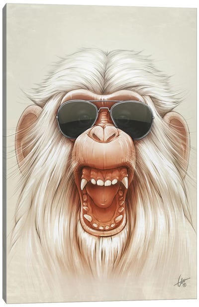 The Great White Angry Monkey Canvas Art Print - Primate Art