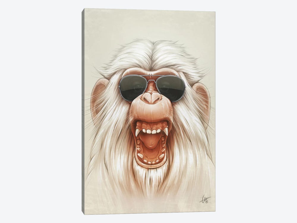 The Great White Angry Monkey by Dr. Lukas Brezak 1-piece Canvas Artwork