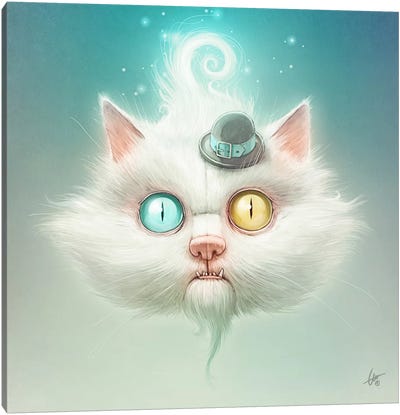 The Odd Kitty Canvas Art Print - Kitten Art