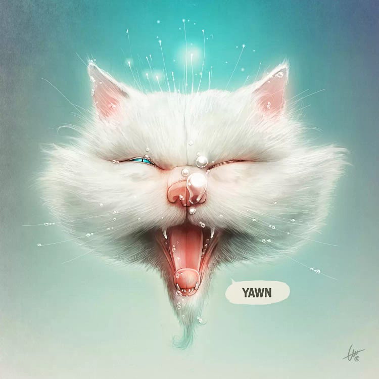 The Water Kitty
