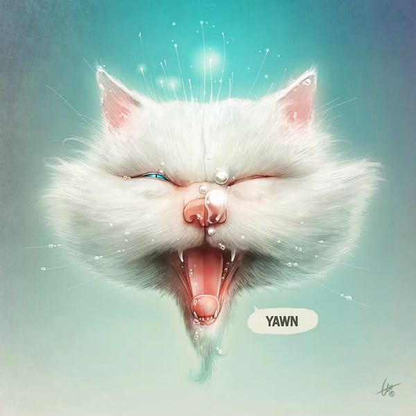 The Water Kitty