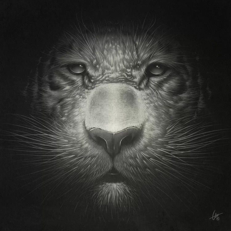 Tiger by Dr. Lukas Brezak wall art