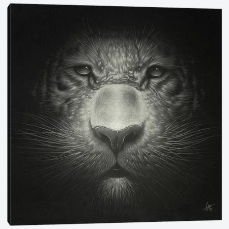 Tiger Canvas Print #DOC29} by Dr. Lukas Brezak Canvas Art