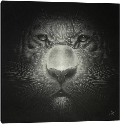 Tiger Canvas Art Print - Dr. Lukas Brezak