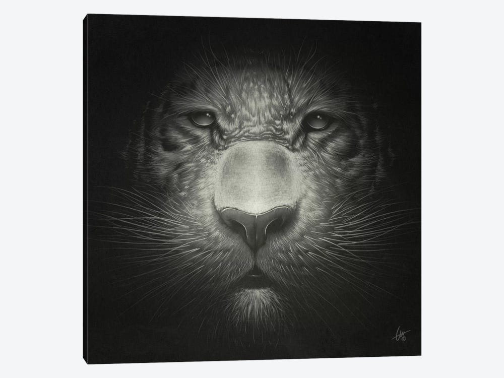 Tiger by Dr. Lukas Brezak 1-piece Art Print