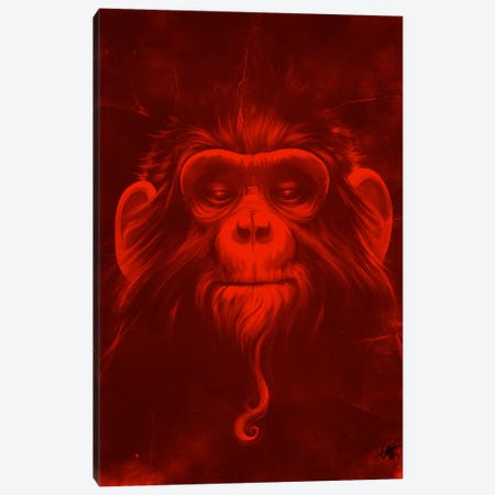 Twelfth Monkey Canvas Print #DOC30} by Dr. Lukas Brezak Canvas Print