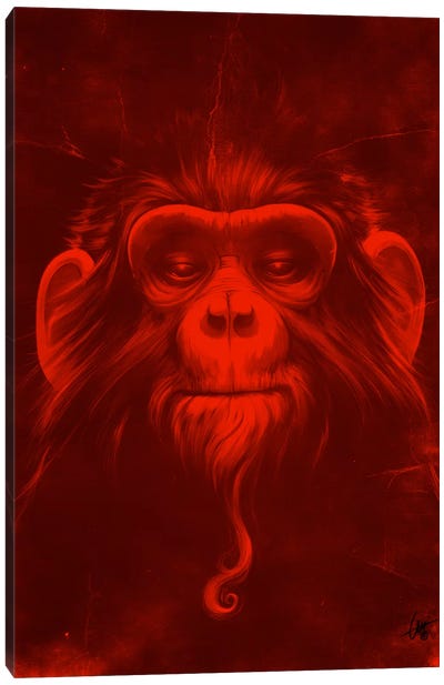 Twelfth Monkey Canvas Art Print - Primate Art