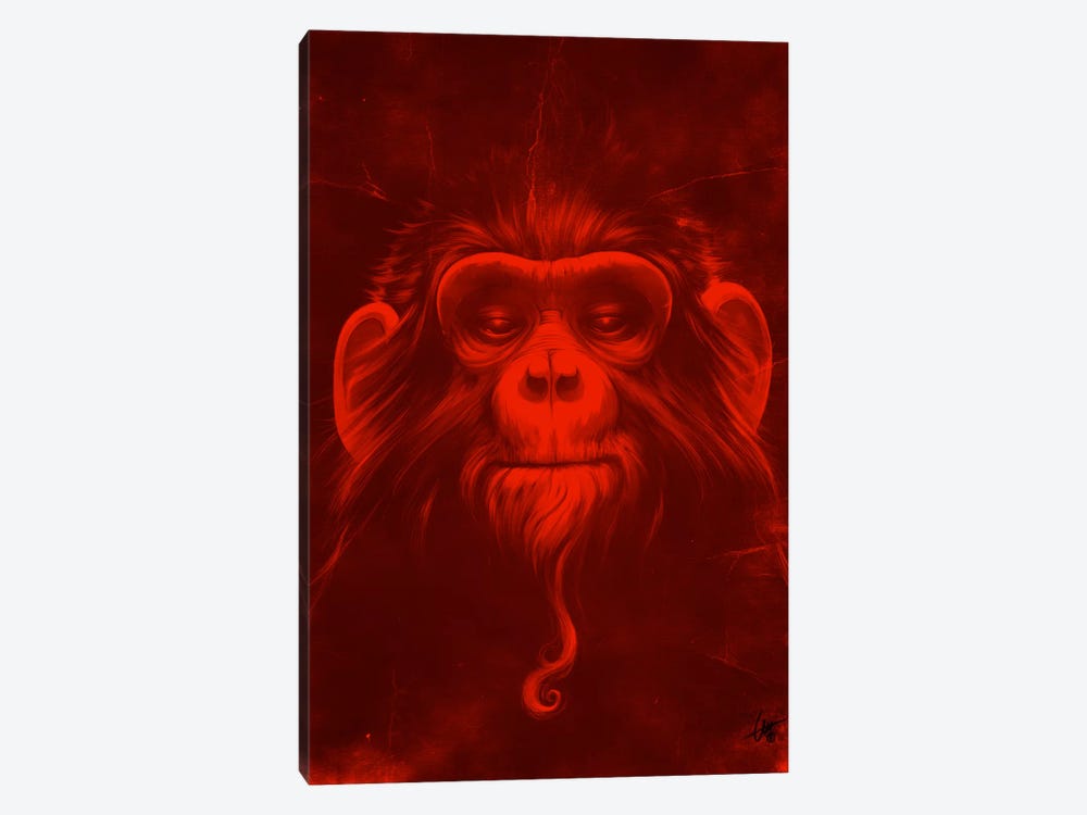 Twelfth Monkey by Dr. Lukas Brezak 1-piece Canvas Print