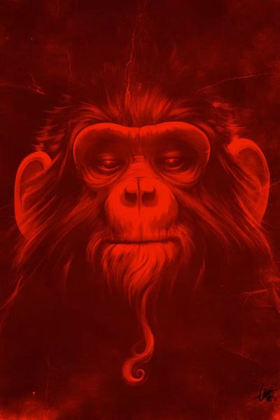 Dr. Lukas Brezak: Twelfth Monkey by Dr. Lukas Brezak