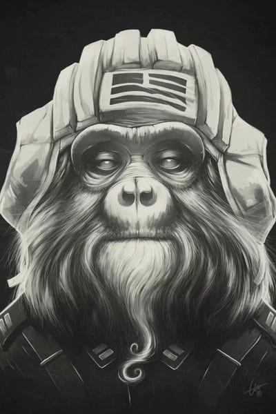 Primates: Commander by Dr. Lukas Brezak