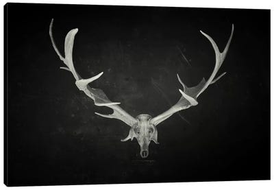Dead King Canvas Art Print - Deer Art