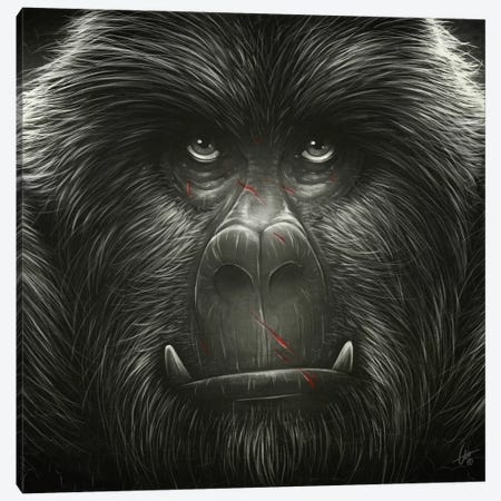 Kong! Canvas Print #DOC8} by Dr. Lukas Brezak Canvas Artwork