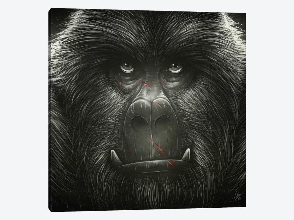 Kong! by Dr. Lukas Brezak 1-piece Canvas Art