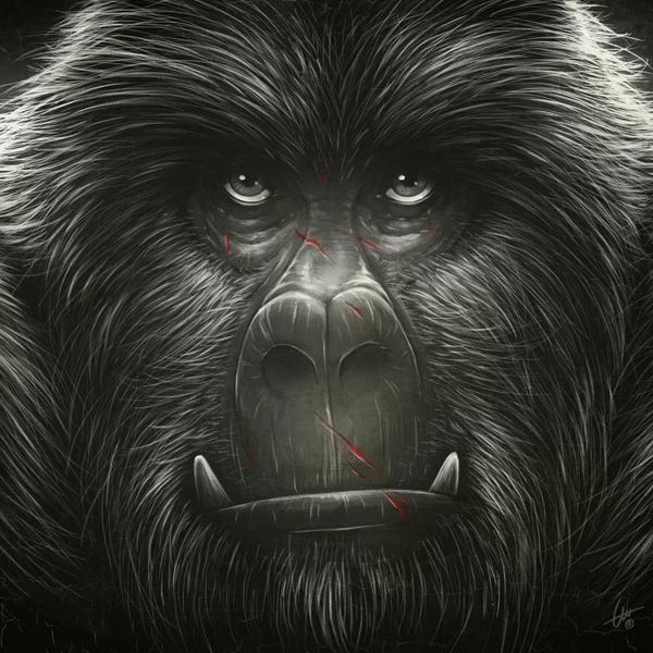Primates: Kong! by Dr. Lukas Brezak