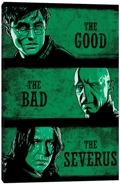 The Good The Bad And The Severus Canvas Art Print - Daniel Radcliffe