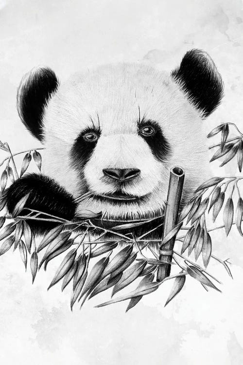 Eating Panda