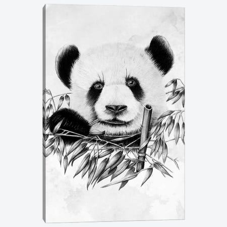 Eating Panda Canvas Print #DOI452} by Denis Orio Ibañez Canvas Print