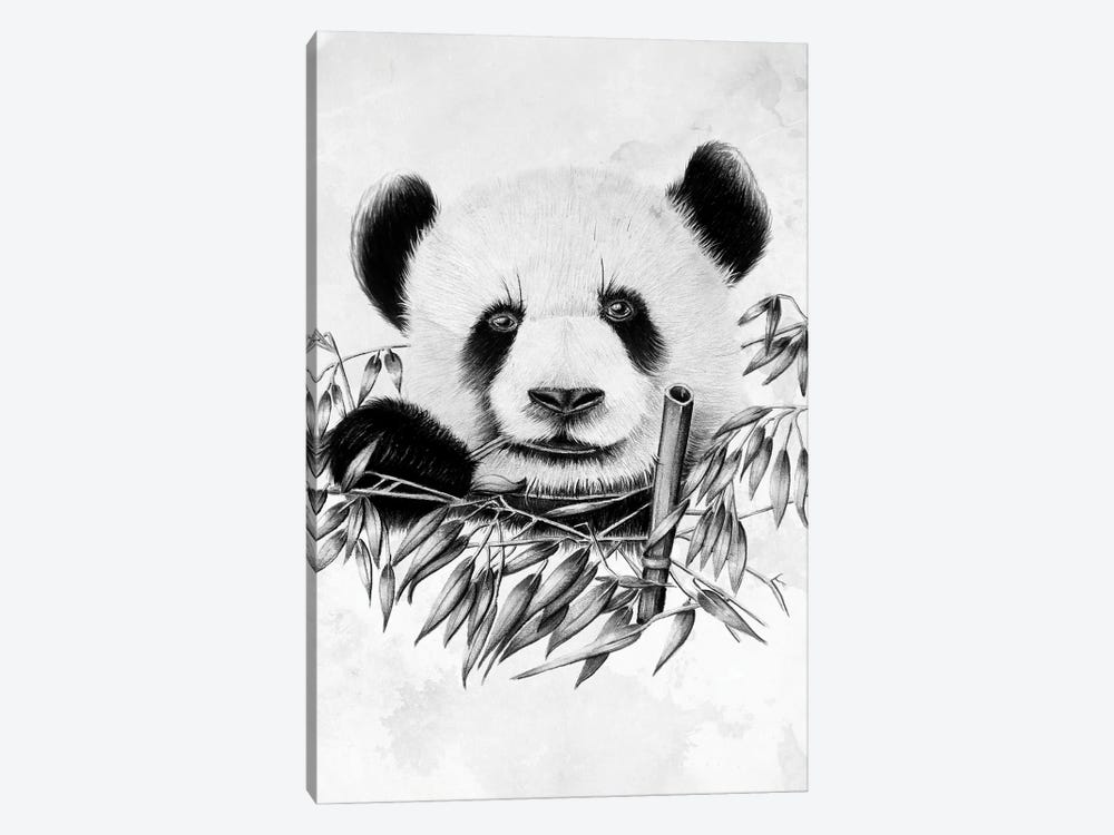 Eating Panda by Denis Orio Ibañez 1-piece Canvas Art