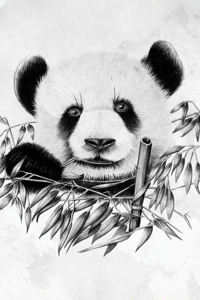 Denis Orio Ibañez: Eating Panda by Denis Orio Ibañez