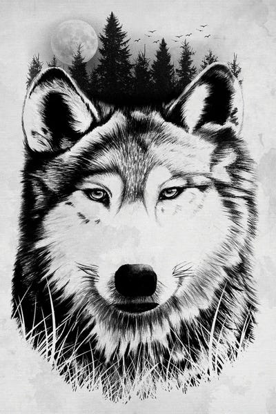 Wild Wolf by Denis Orio Ibañez art print