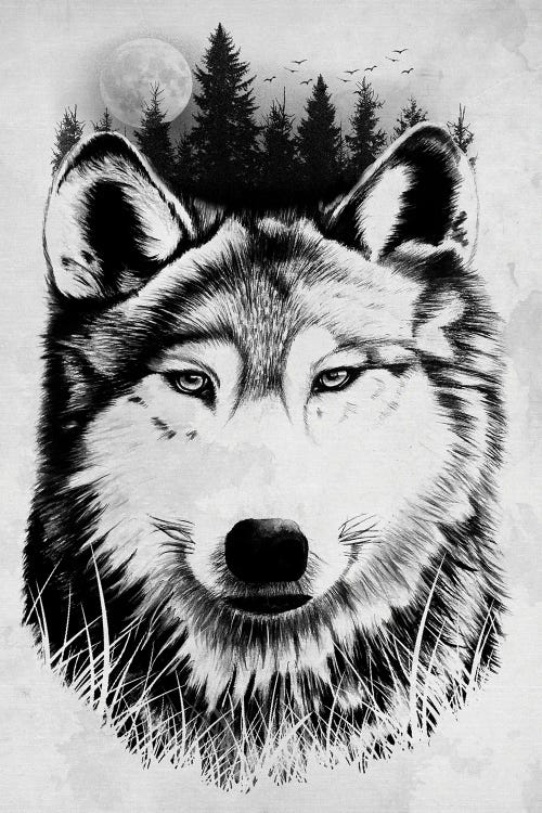 Wild Wolf