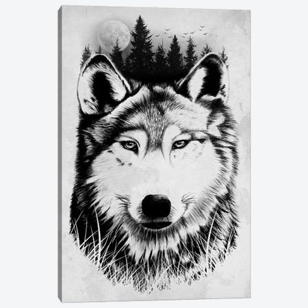 Wild Wolf Canvas Print #DOI456} by Denis Orio Ibañez Canvas Wall Art
