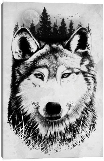 Wild Wolf Canvas Art Print - Denis Orio Ibanez