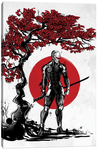 Cyborg Ninja Under The Sun Canvas Art Print - Soldier