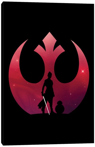 Rebel Hero Canvas Art Print - Star Wars