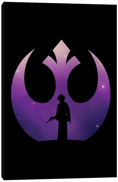 Rebel Princess Canvas Art Print - Star Wars