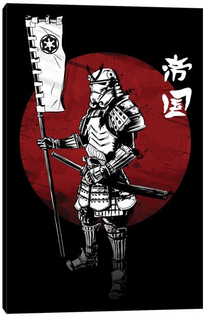 Samurai Empire Canvas Art Print - Denis Orio Ibanez