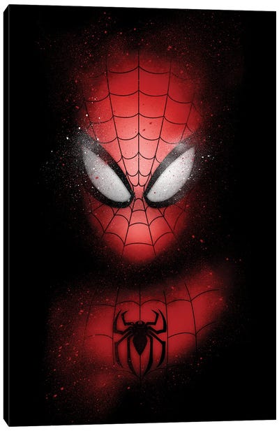 Spider Graffiti Canvas Art Print - Action & Adventure Movie Art