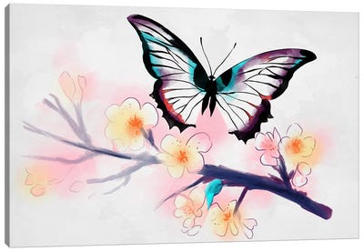 Watercolor Butterfly Canvas Art Print - Denis Orio Ibanez