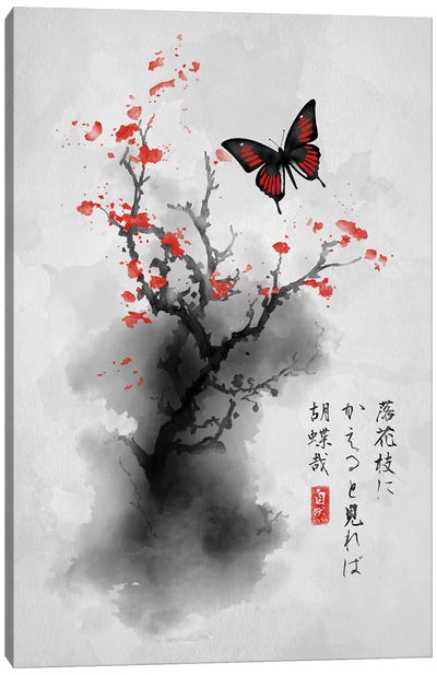 Ink Butterfly Canvas Art Print - Denis Orio Ibanez