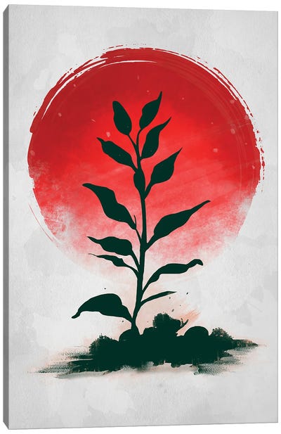 Red Sun Nature Canvas Art Print - Denis Orio Ibanez
