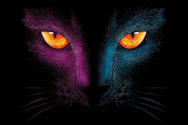 Denis Orio Ibañez: Neon Cat by Denis Orio Ibañez