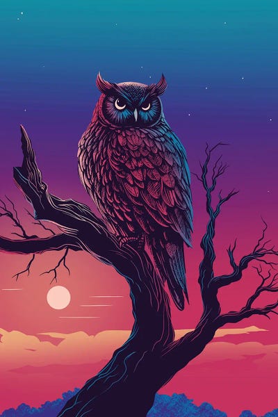 Denis Orio Ibañez: Owl In The Night by Denis Orio Ibañez