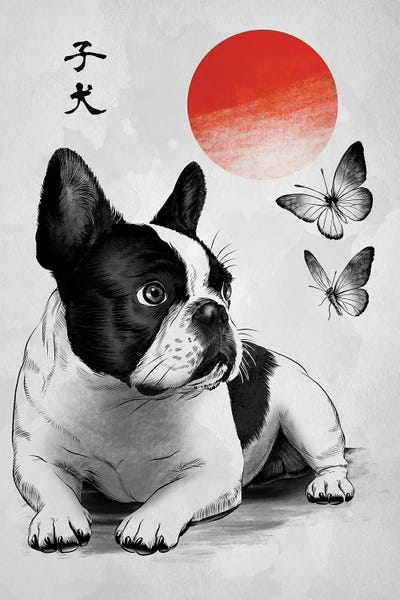 Frenchie Under The Sun