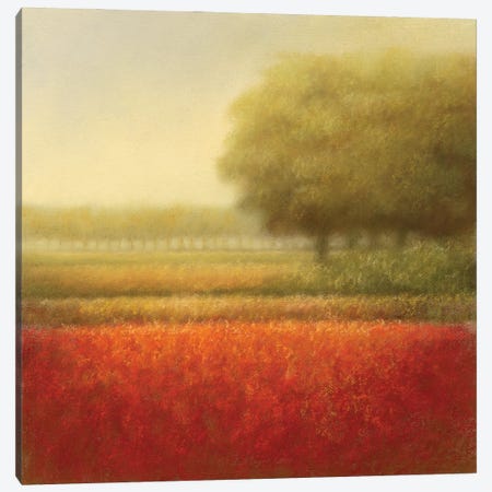 Autumn Field Canvas Print #DOL1} by Hans Dolieslager Canvas Print