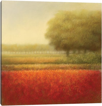 Autumn Field Canvas Art Print