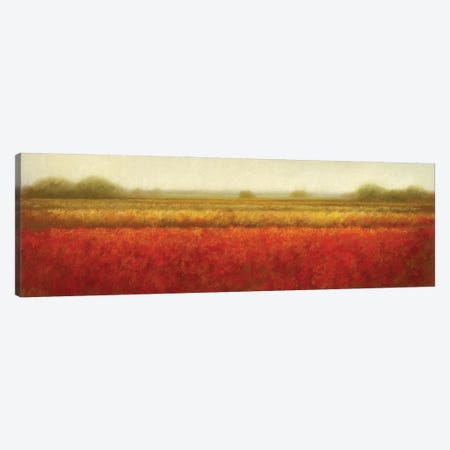 Field Of Poppies Canvas Print #DOL3} by Hans Dolieslager Canvas Art Print