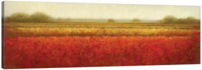 Field Of Poppies Canvas Art Print